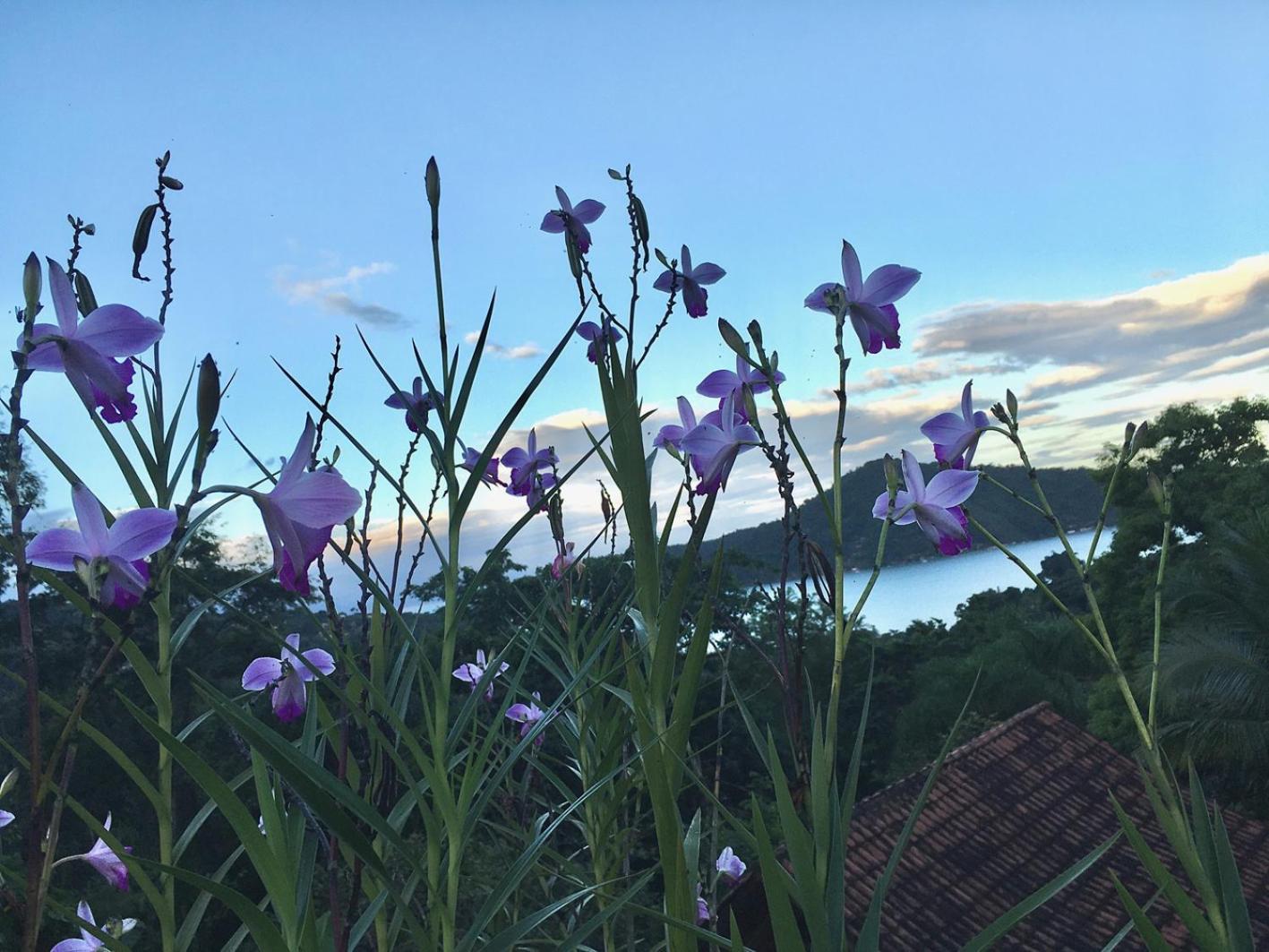 Pousada Alto Do Tie Otel Araquari Dış mekan fotoğraf